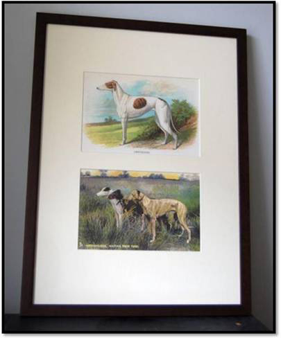 Greyhound Prints