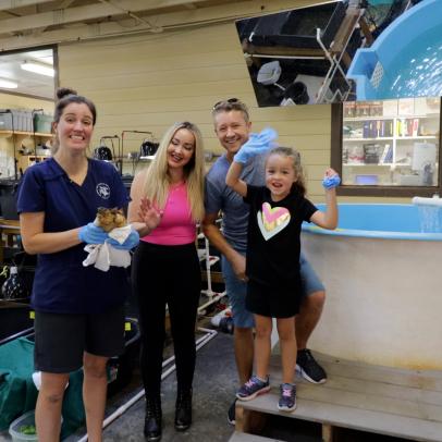 The Tipple Family Goes Behind the Scenes at Georgia Sea Turtle Center